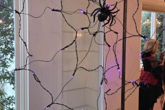 570970288_10163066321104223_3725093042655889334_n